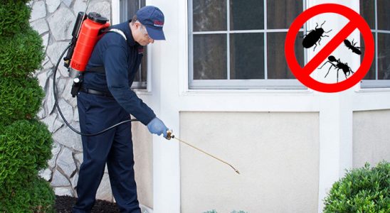 Akören Hamam Böceği İlaçlama böcek ilaçlama ve haşere kontrolü — ilaclama-tr.com